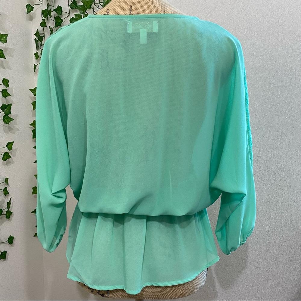 Mint Green Sheer Long Sleeve Blouse w/ Rose Lace- size S - Picture 2 of 12